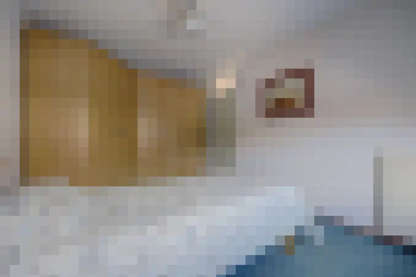 Vigohof 20 Rotterdam thumbnail 17