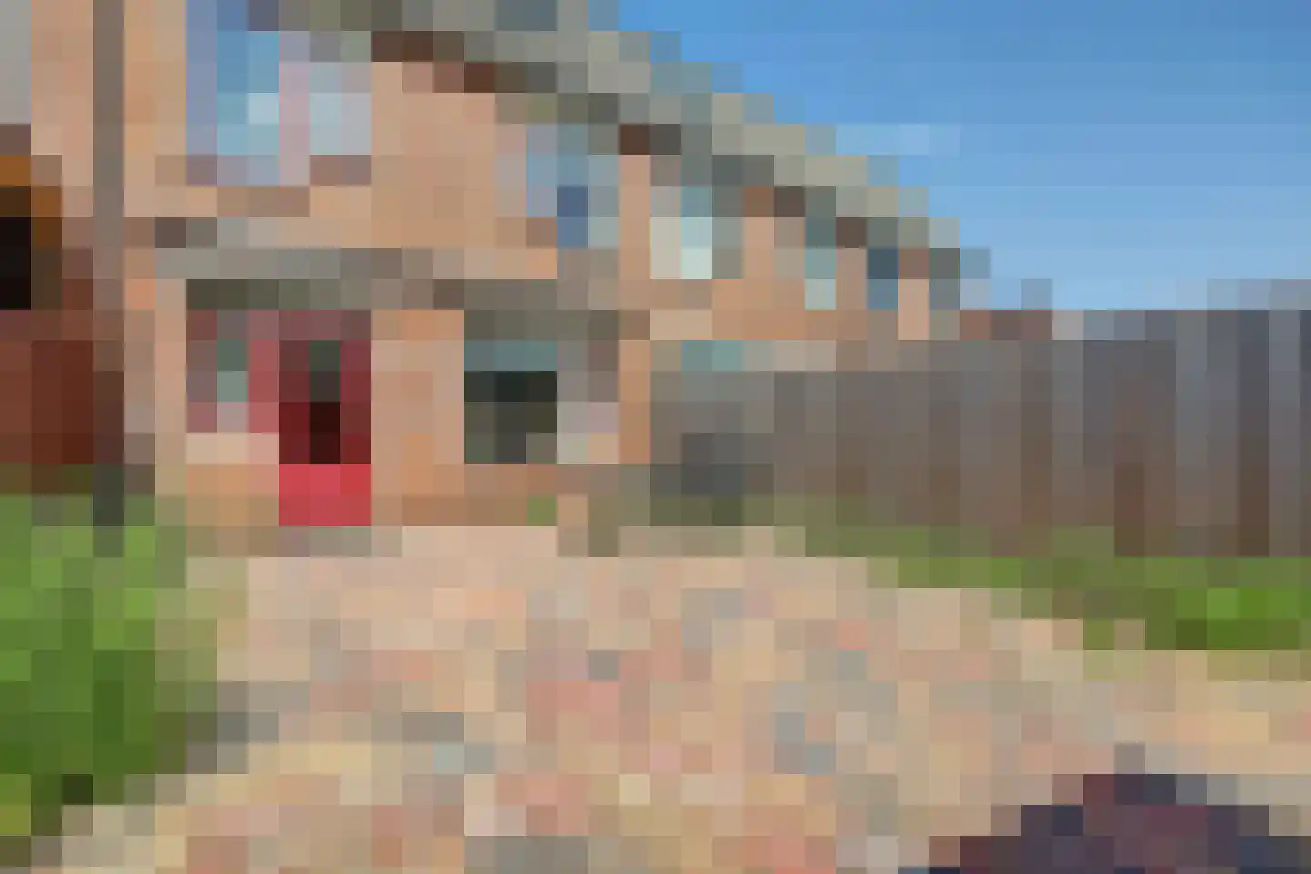 Vigohof 20 Rotterdam thumbnail 29