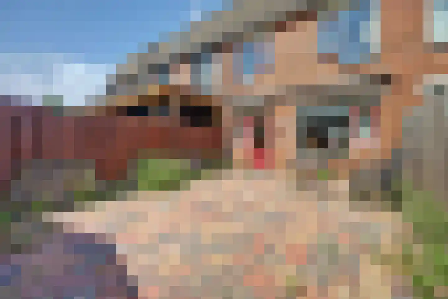 Vigohof 20 Rotterdam thumbnail 30