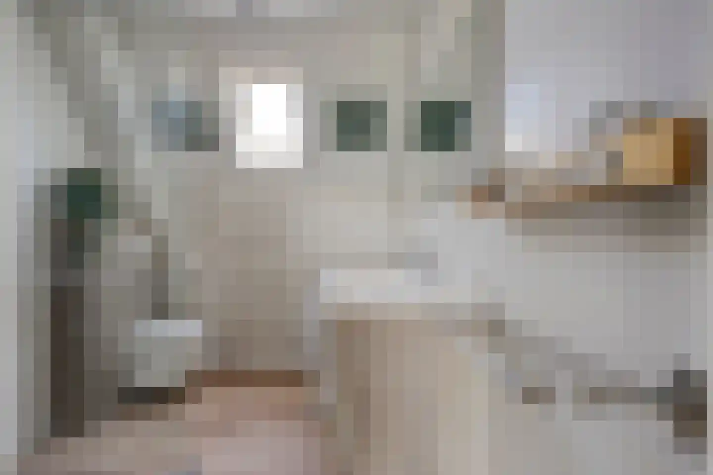 Vigohof 8 Rotterdam thumbnail 14