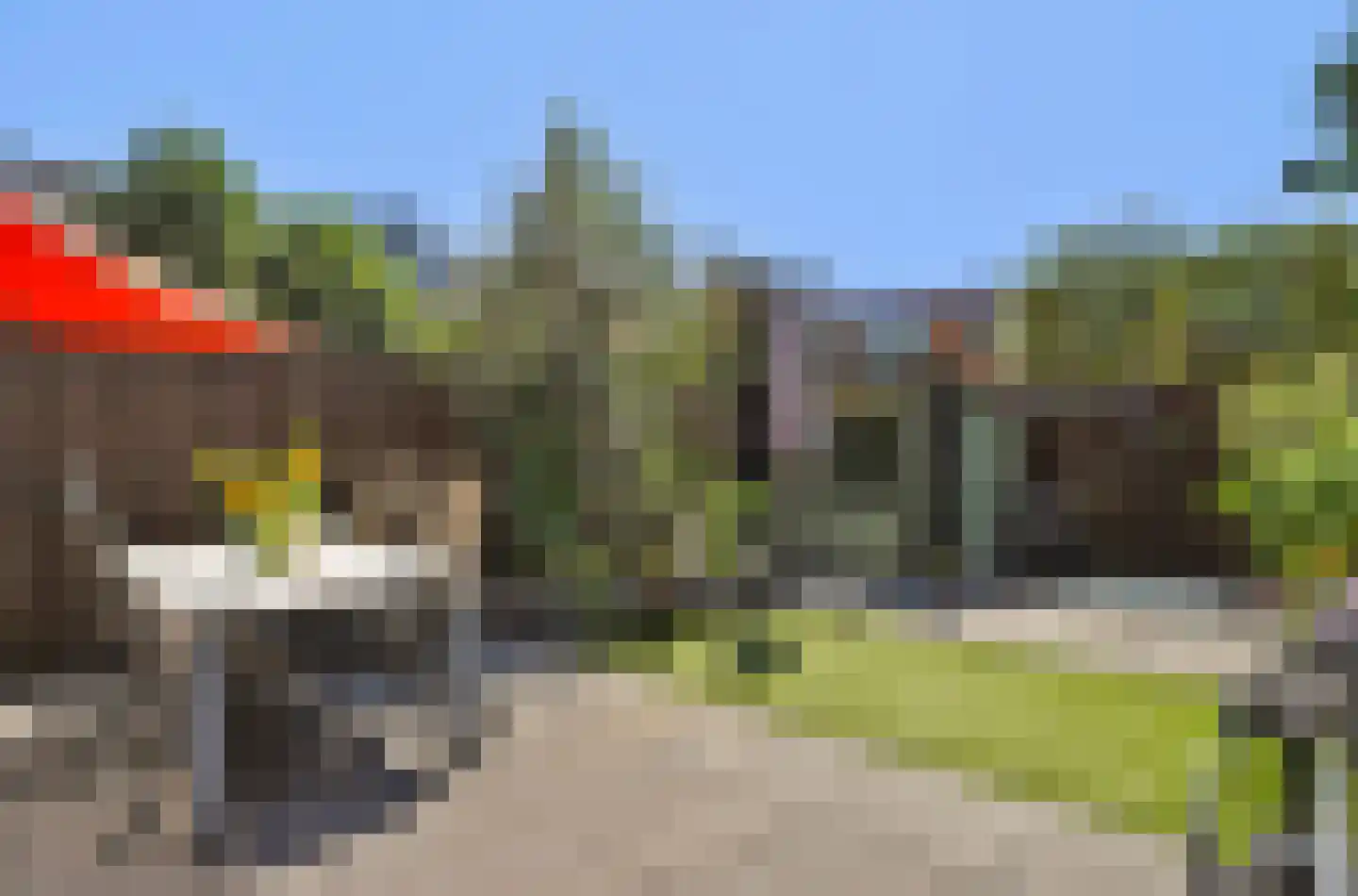 Vigohof 8 Rotterdam thumbnail 24