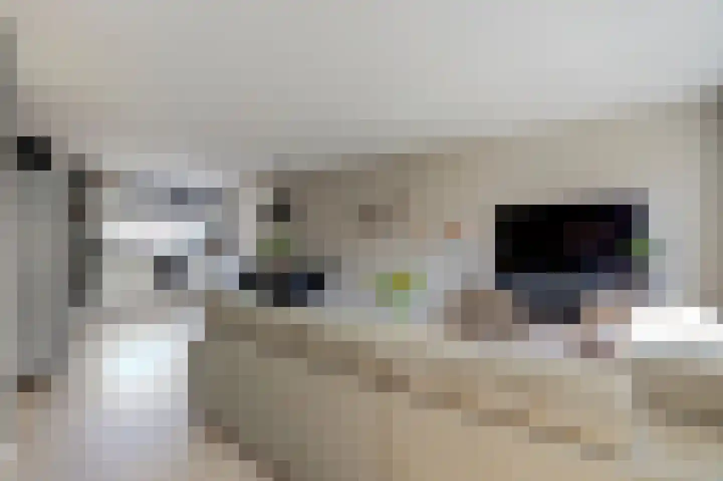 Vigohof 8 Rotterdam thumbnail 5