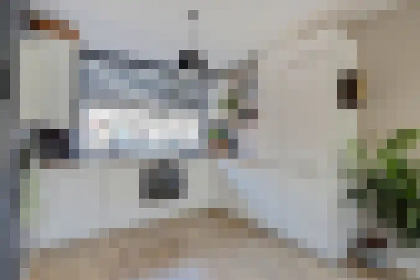Vigohof 8 Rotterdam thumbnail 7