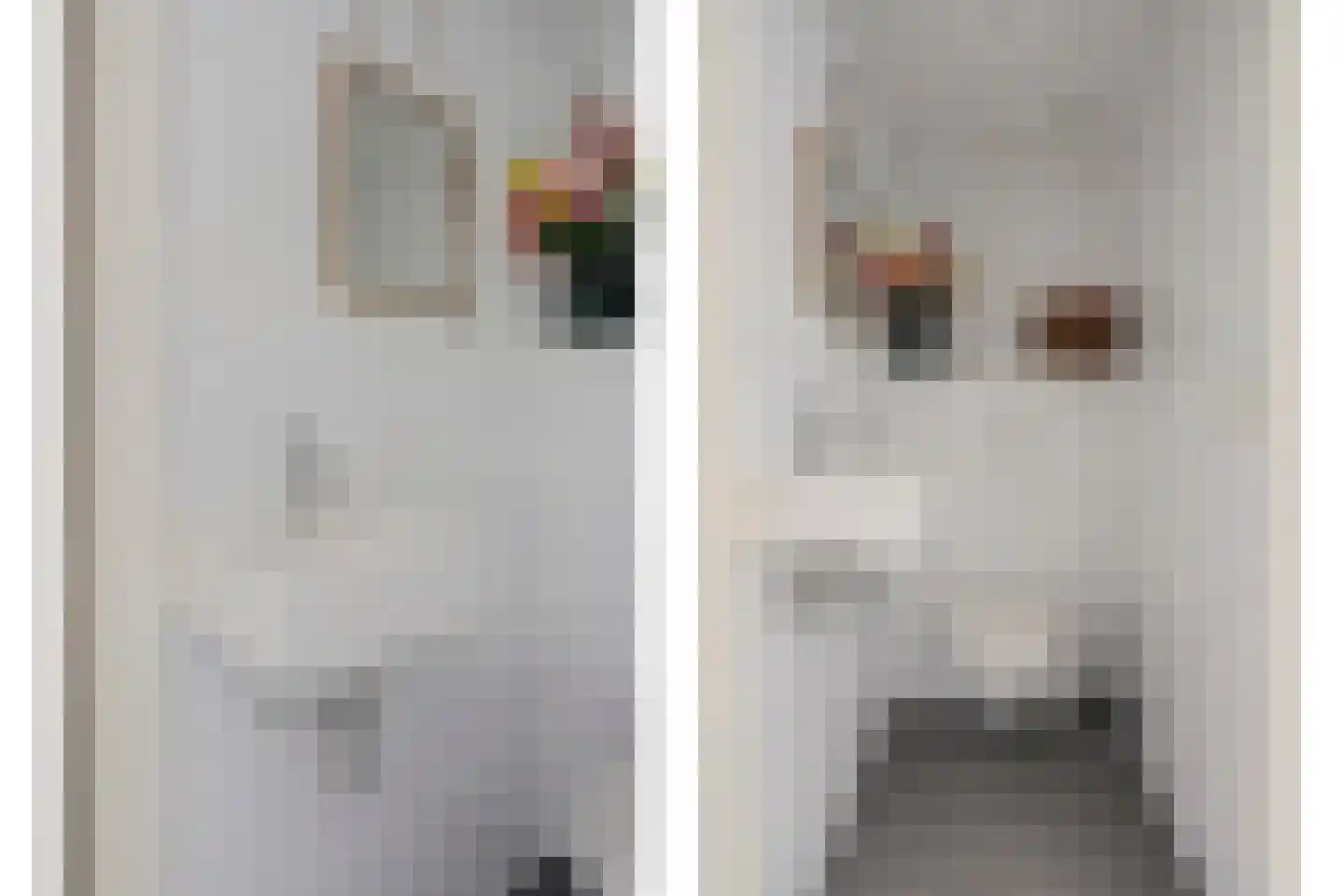 Vigohof 8 Rotterdam thumbnail 9