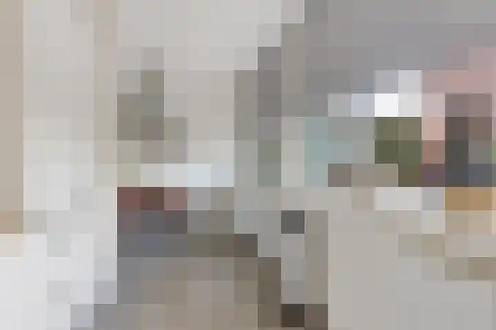 Vijf Akkers 26 Tolbert thumbnail 11