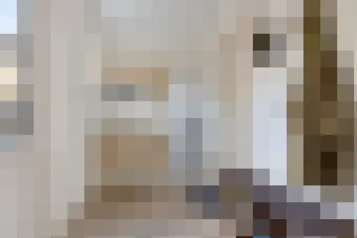 Vijf Akkers 26 Tolbert thumbnail 12