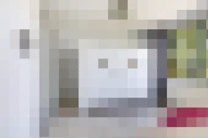 Vijf Akkers 26 Tolbert thumbnail 17