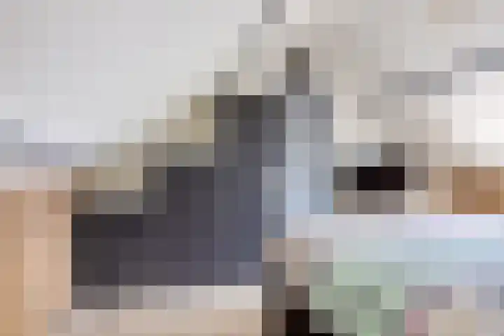 Vijf Akkers 26 Tolbert thumbnail 27