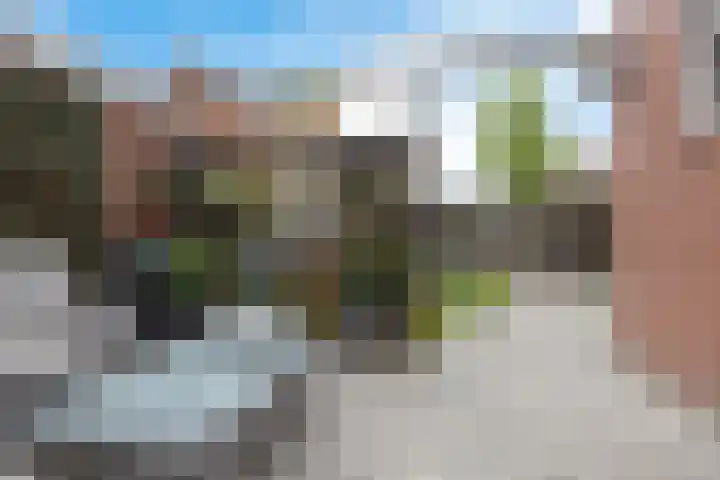 Vijf Akkers 26 Tolbert thumbnail 29