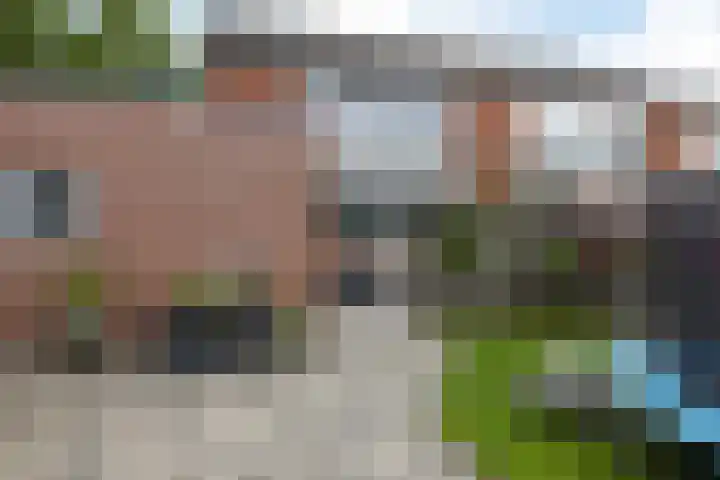 Vijf Akkers 26 Tolbert thumbnail 33