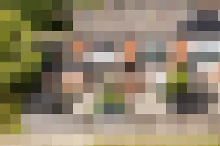 Vijf Akkers 26 Tolbert thumbnail 34