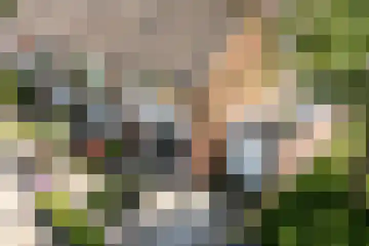 Vijf Akkers 26 Tolbert thumbnail 35