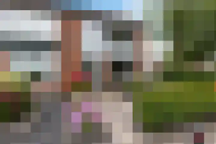 Vijf Akkers 26 Tolbert thumbnail 37