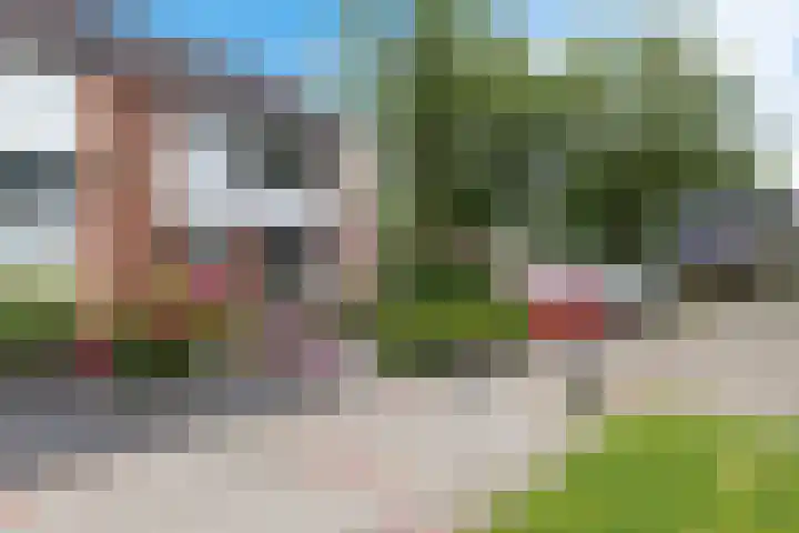 Vijf Akkers 26 Tolbert thumbnail 38