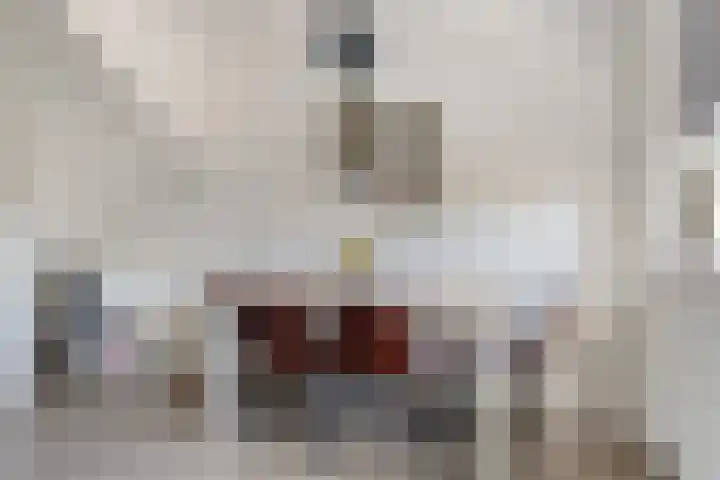 Vijf Akkers 26 Tolbert thumbnail 8