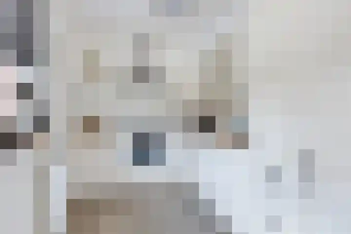 Vijf Akkers 26 Tolbert thumbnail 9