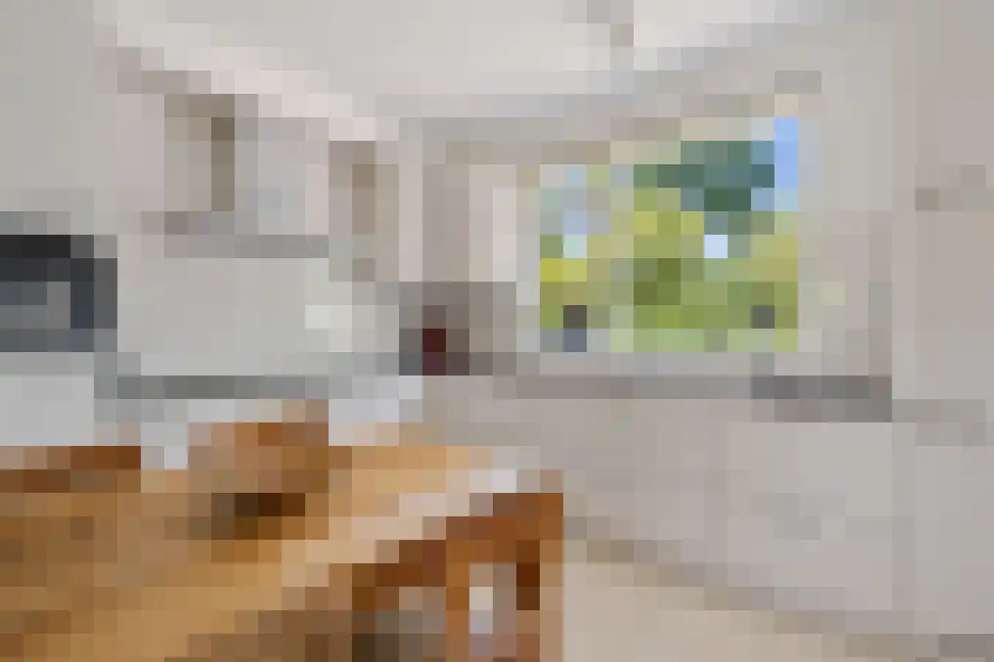 Vijf Akkers 5 Tolbert thumbnail 15