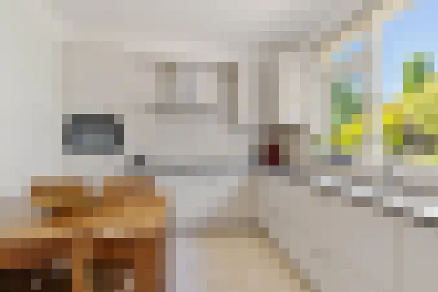 Vijf Akkers 5 Tolbert thumbnail 16