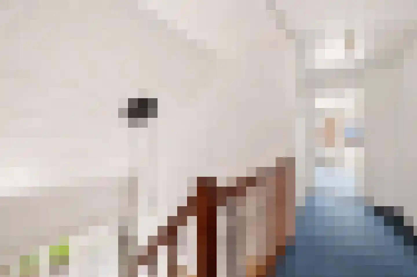 Vijf Akkers 5 Tolbert thumbnail 26