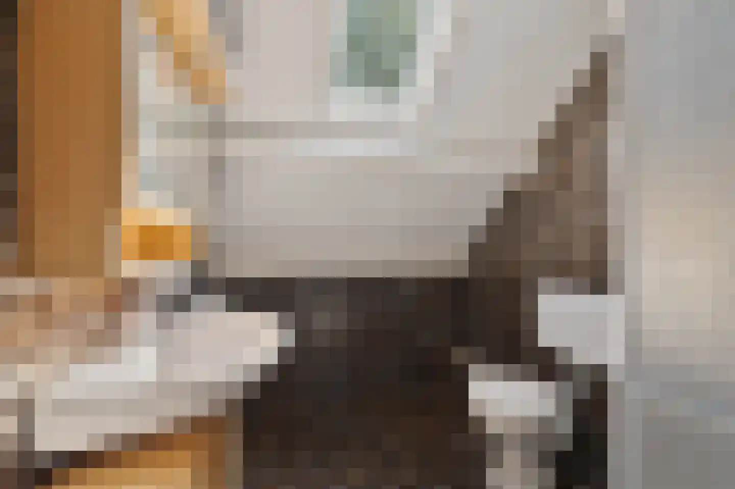 Vijf Akkers 5 Tolbert thumbnail 31