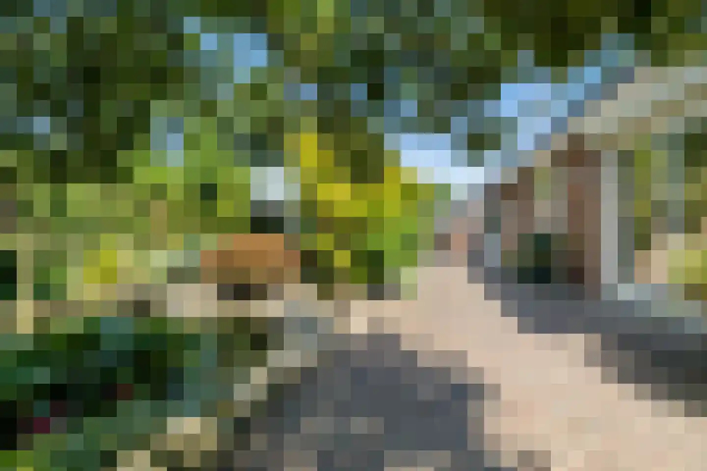 Vijf Akkers 5 Tolbert thumbnail 33