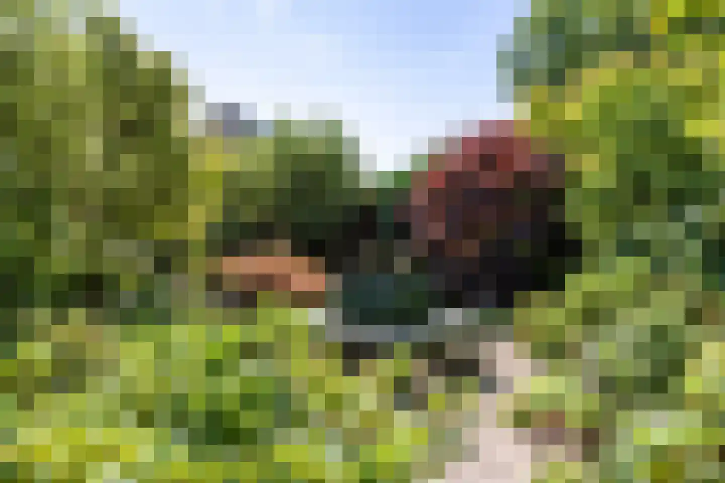 Vijf Akkers 5 Tolbert thumbnail 34