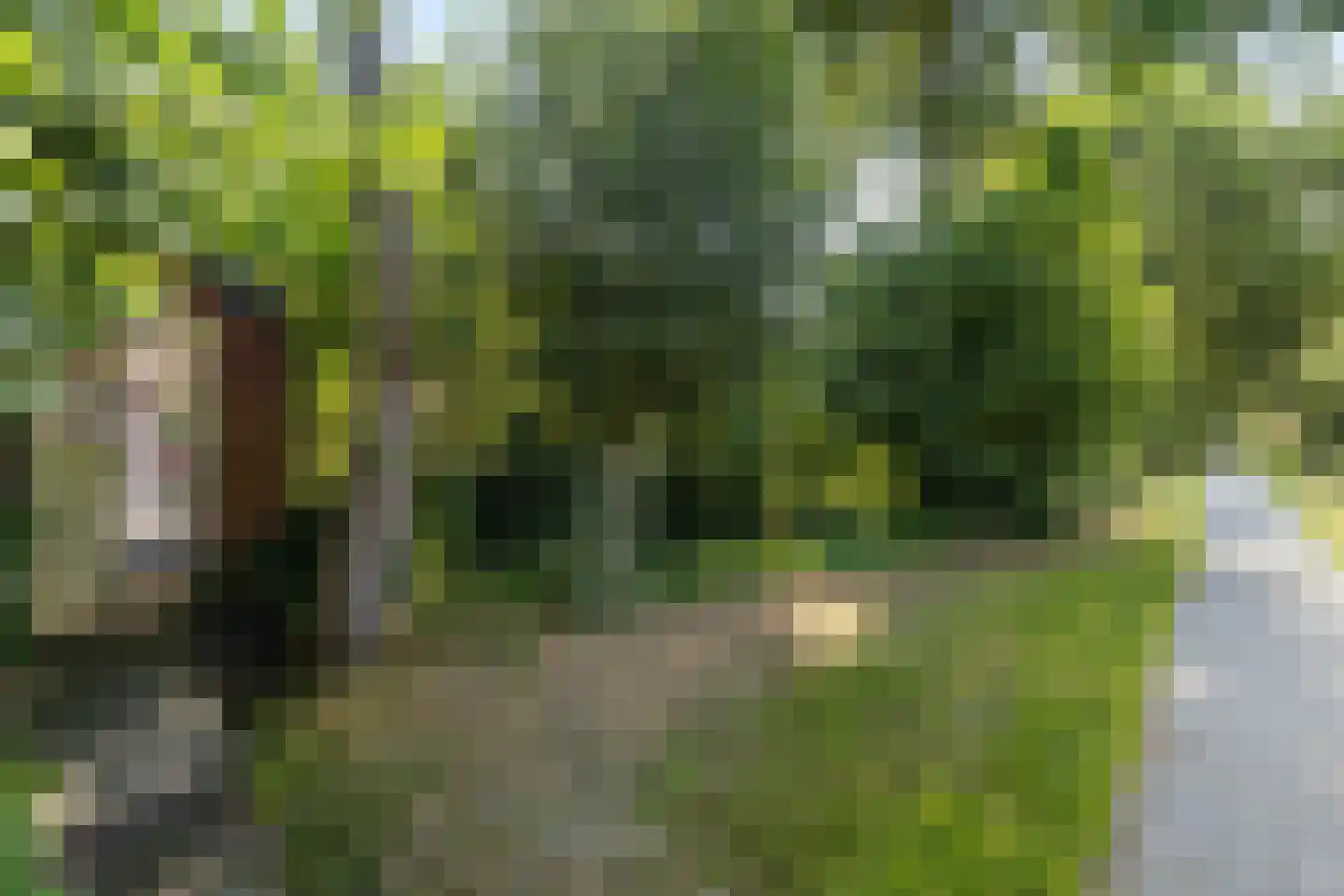 Vijf Akkers 5 Tolbert thumbnail 35