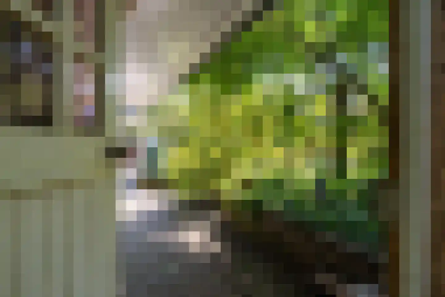 Vijf Akkers 5 Tolbert thumbnail 36