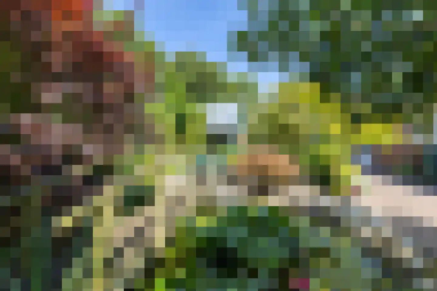 Vijf Akkers 5 Tolbert thumbnail 37