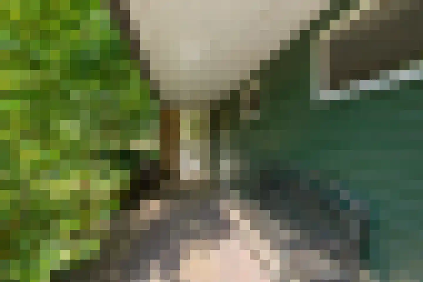 Vijf Akkers 5 Tolbert thumbnail 40