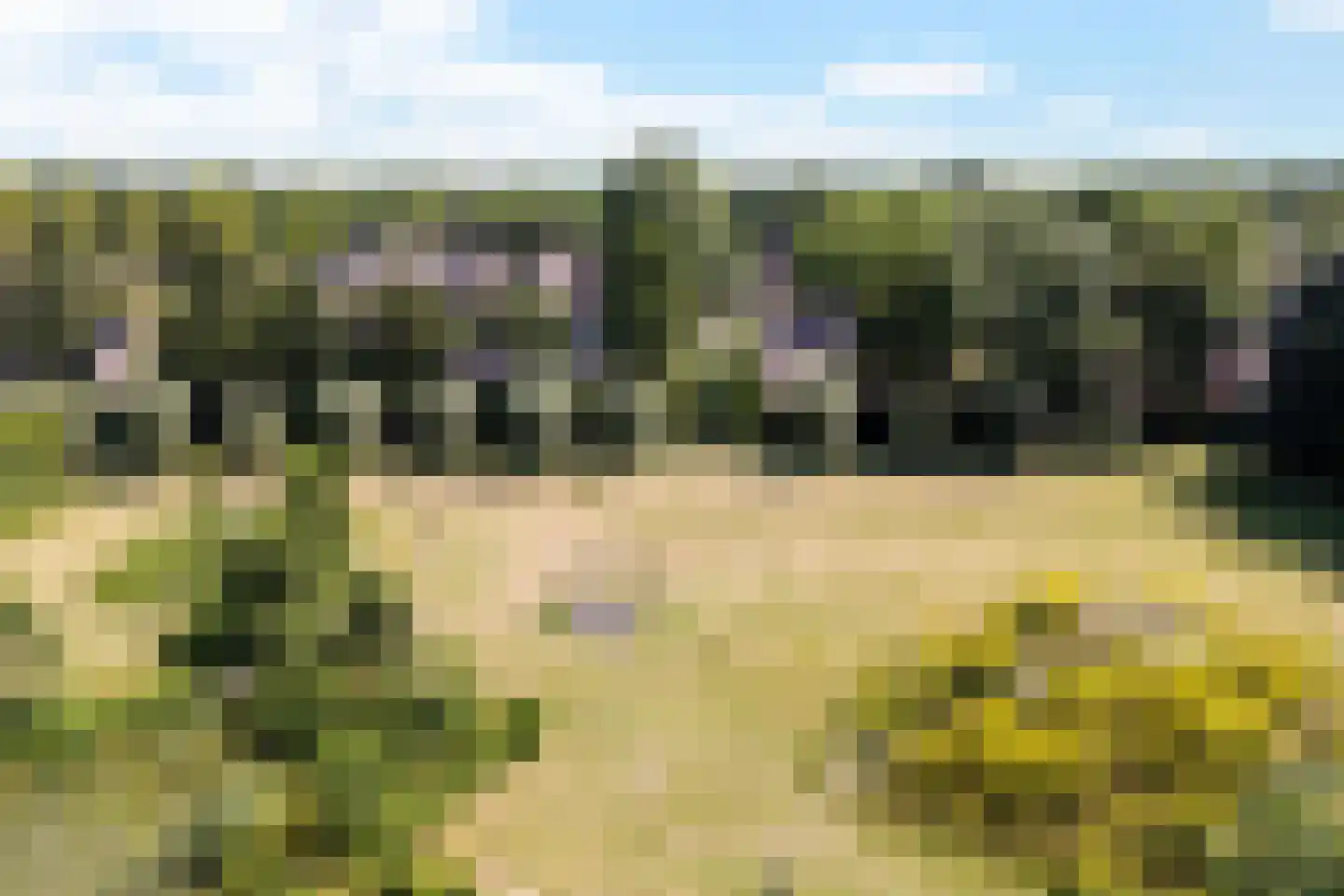 Vijf Akkers 5 Tolbert thumbnail 42