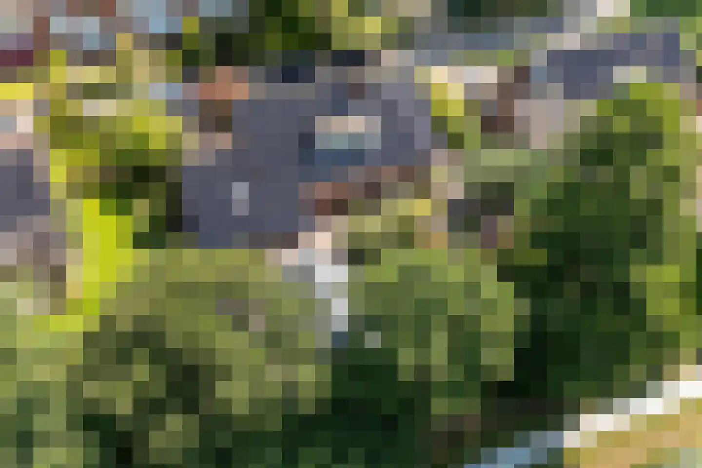 Vijf Akkers 5 Tolbert thumbnail 44