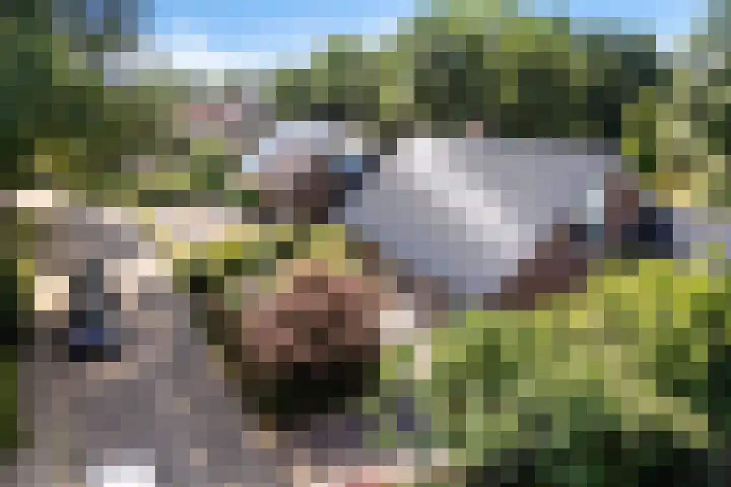 Vijf Akkers 5 Tolbert thumbnail 45