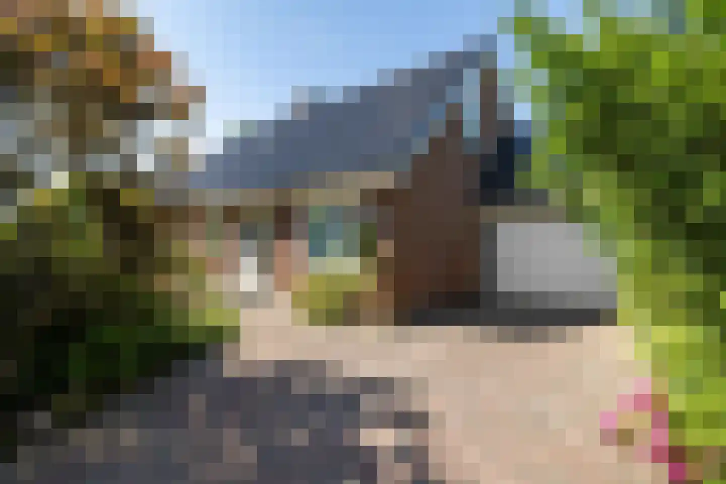 Vijf Akkers 5 Tolbert thumbnail 7