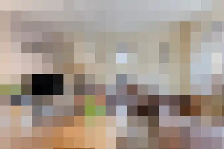 Vijf Akkers 53 Tolbert thumbnail 11