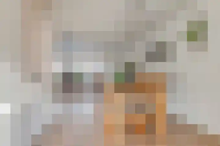 Vijf Akkers 53 Tolbert thumbnail 14