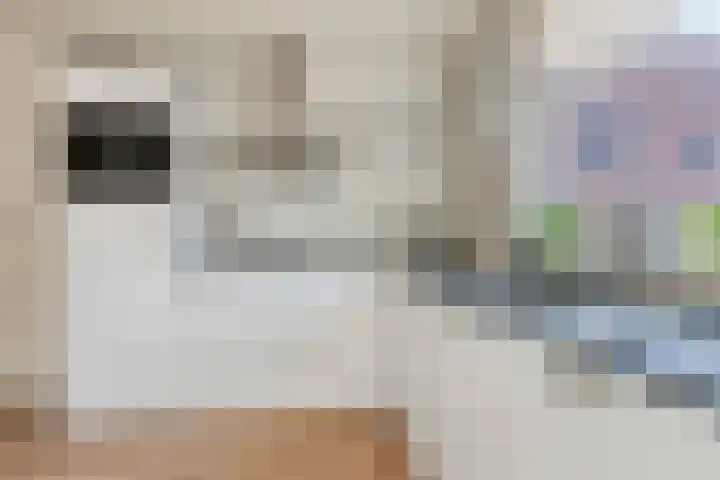Vijf Akkers 53 Tolbert thumbnail 15