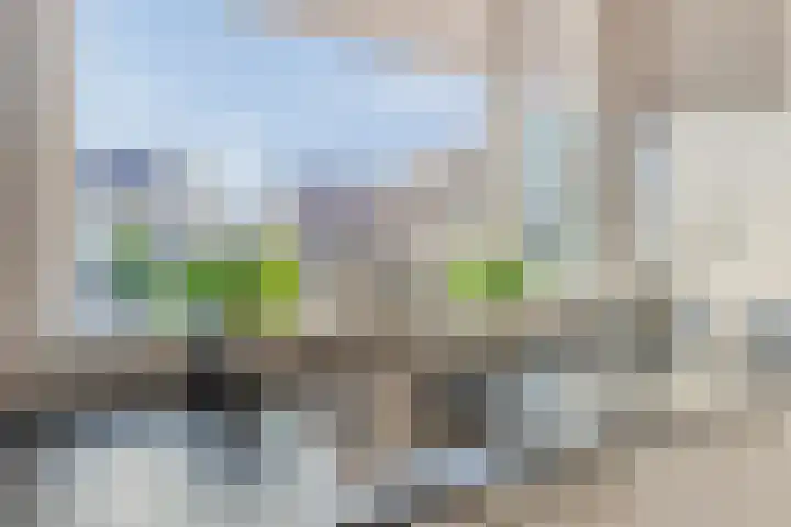 Vijf Akkers 53 Tolbert thumbnail 16