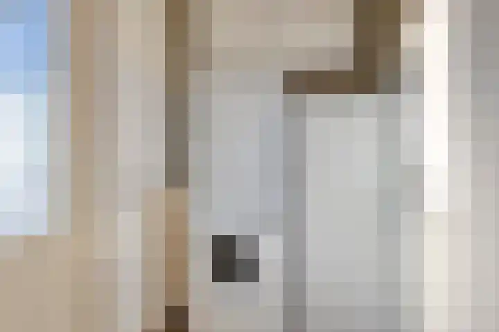 Vijf Akkers 53 Tolbert thumbnail 17