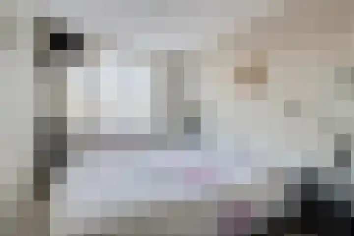Vijf Akkers 53 Tolbert thumbnail 21