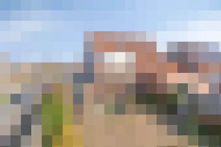 Vijf Akkers 53 Tolbert thumbnail 29