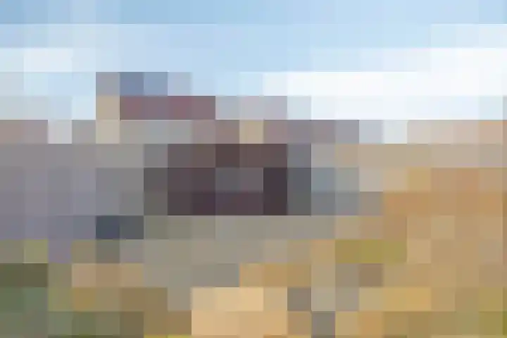 Vijf Akkers 53 Tolbert thumbnail 33