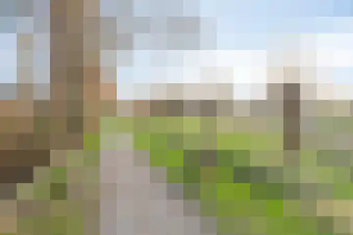 Vijf Akkers 53 Tolbert thumbnail 40