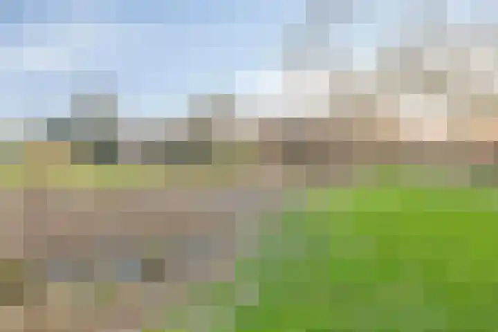 Vijf Akkers 53 Tolbert thumbnail 41