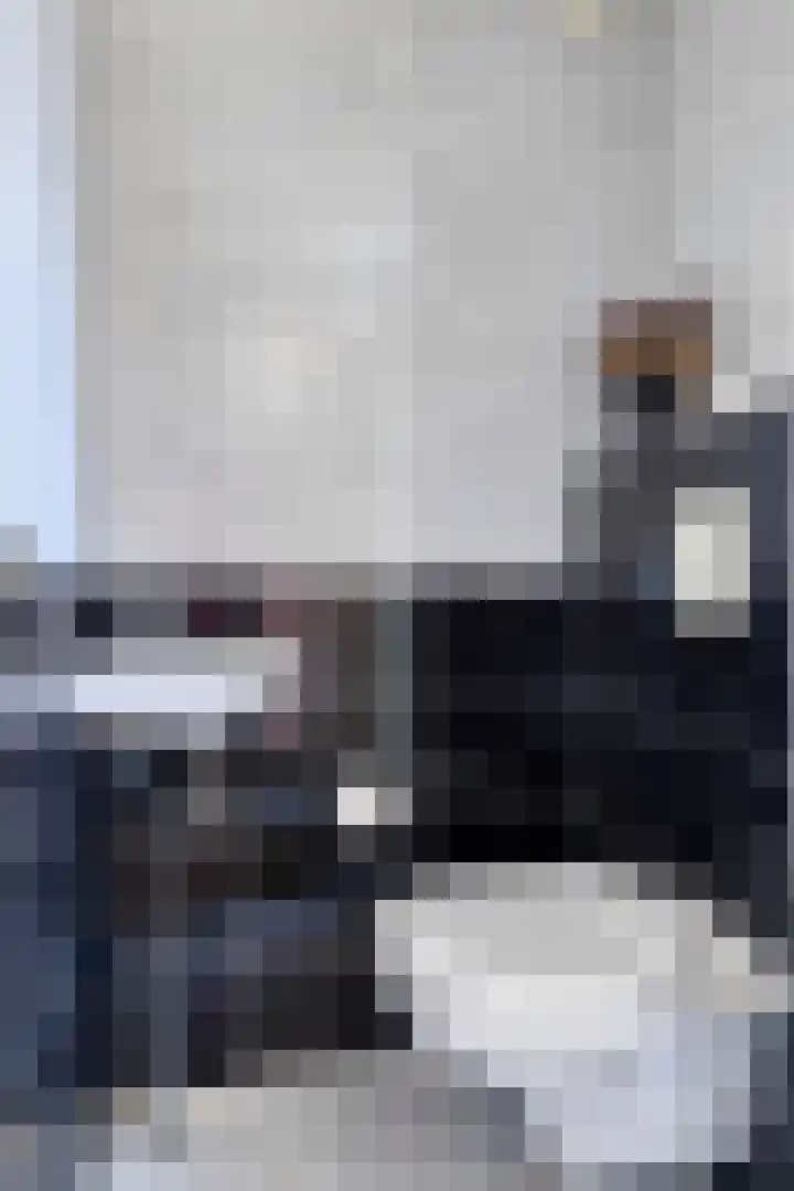 Vijf Akkers 53 Tolbert thumbnail 7