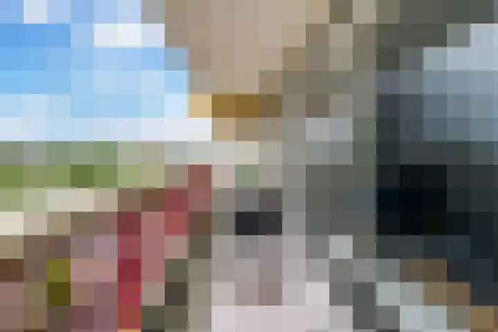 Vijf Meilaan 140 Leiden thumbnail 16