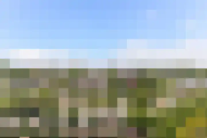 Vijf Meilaan 140 Leiden thumbnail 17