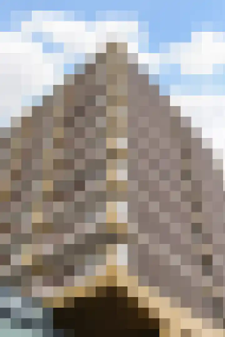 Vijf Meilaan 140 Leiden foto 2