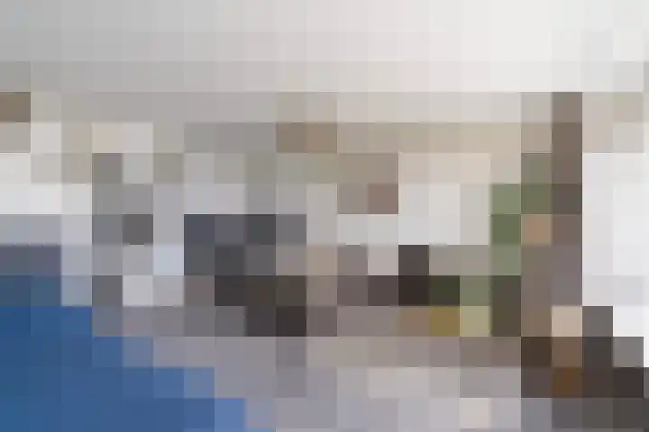 Vijf Meilaan 140 Leiden thumbnail 8