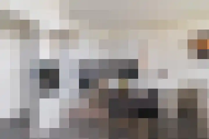 Vijf Meilaan 140 Leiden thumbnail 9